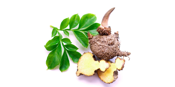 Glucomannan und Gewichtsmanagement: Was eine kontrollierte Studie zeigt
