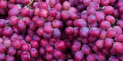 Trans-Resveratrol und Hautgesundheit: Was eine aktuelle Studie zeigt