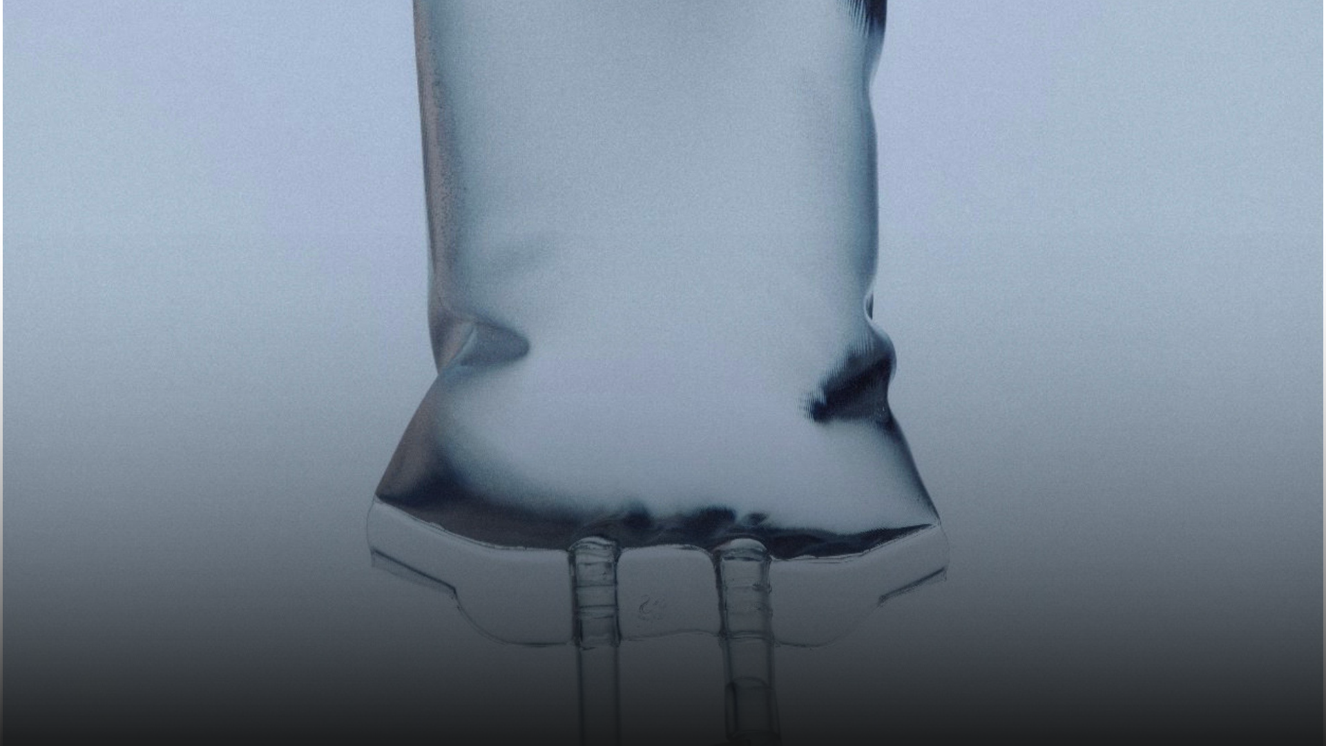 Immunsystem & Zellschutz