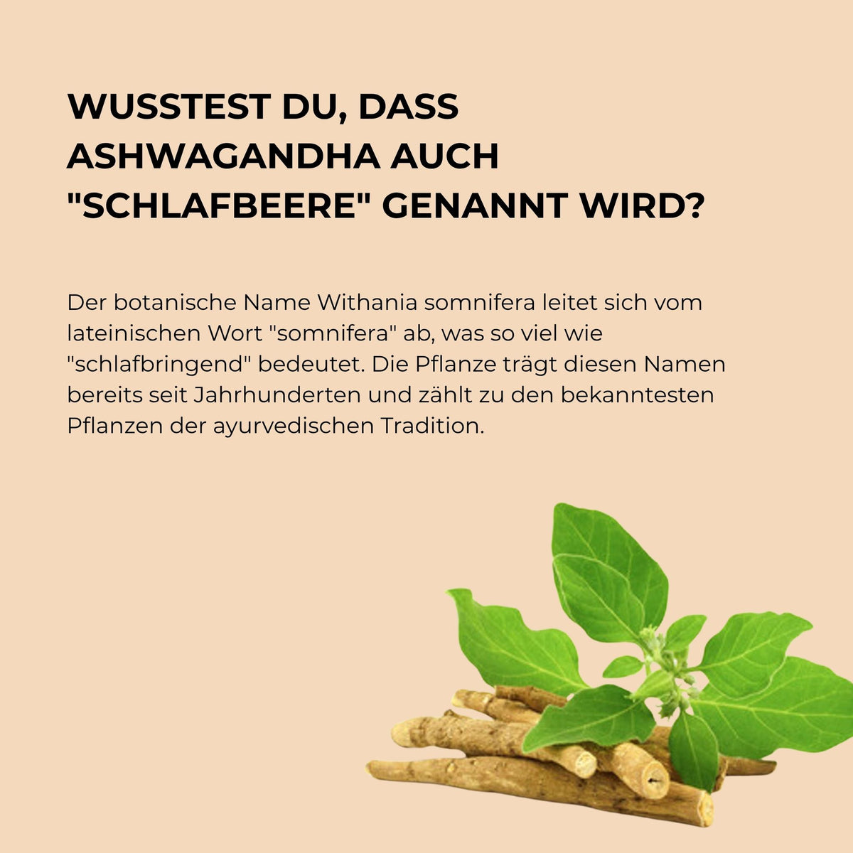 ASHWAGANDHA+